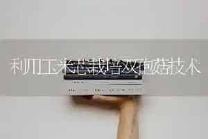 利用玉米芯栽培双孢菇技术
