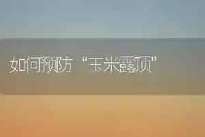 如何预防“玉米露顶”