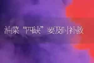 油菜“四缺”要及时补救