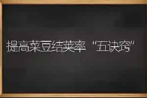 提高菜豆结荚率“五诀窍”