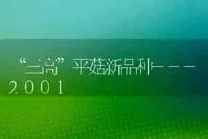 “三高”平菇新品种---2001