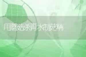 用蘑菇杀青水制菇精