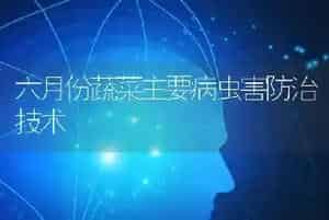 六月份蔬菜主要病虫害防治技术