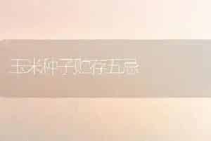 玉米种子贮存五忌