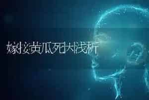 嫁接黄瓜死因浅析