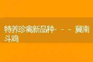 南瓜干的制作技术