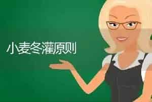 小麦冬灌原则