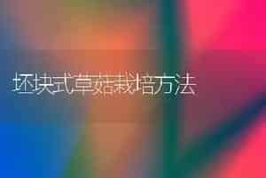 坯块式草菇栽培方法