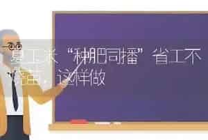 夏玉米“种肥同播”省工不烧苗,这样做