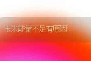 玉米能量不足有原因
