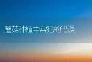 蘑菇种植中常犯的错误