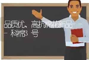 品质优、高抗棉花新品---科棉3号