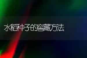 水稻种子的窖藏方法