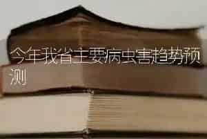 蔬菜秋延后栽培如何把好育苗关