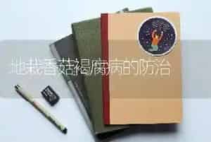 地栽香菇褐腐病的防治