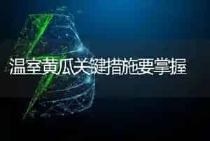 温室黄瓜关键措施要掌握