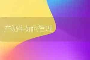怎样合理的贮藏芝麻种子