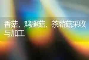 香菇、鸡腿菇、茶薪菇采收与加工