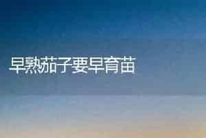 早熟茄子要早育苗