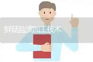 鲜菇盐渍加工技术