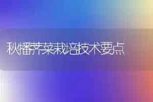 秋播荠菜栽培技术要点