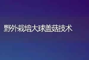 野外栽培大球盖菇技术