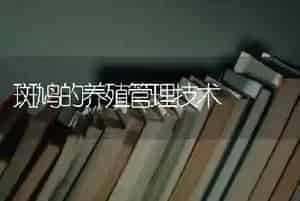 白环柄菇的栽培技术