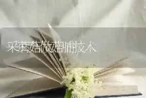 采蘑菇做菇脯技术