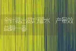 金针菇出菇巧管水 产量效益翻一番