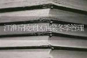 江淮丘陵地区油菜冬季管理