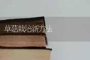 草菇栽培新方法