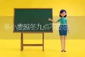 冬小麦越冬九点不要忘