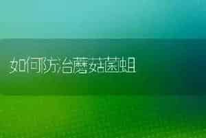 如何防治蘑菇菌蛆