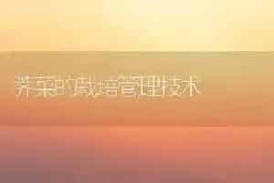 荠菜的栽培管理技术
