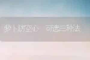 萝卜防空心 可选三种法