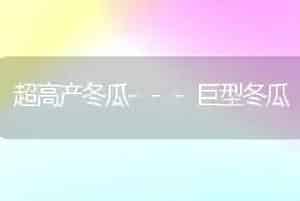 超高产冬瓜---巨型冬瓜