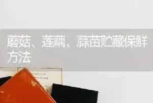 蘑菇、莲藕、蒜苗贮藏保鲜方法