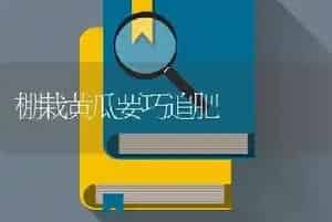 棚栽黄瓜要巧追肥