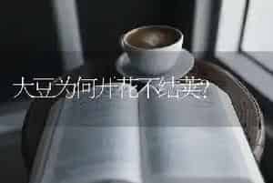 大豆为何开花不结荚?