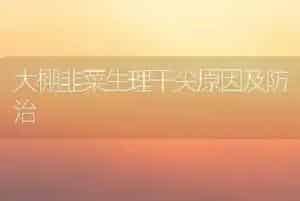 大棚韭菜生理干尖原因及防治
