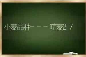 小麦品种---皖麦27