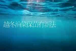 越冬油菜保苗有新法