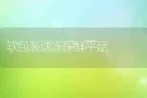 软包装速冻保鲜平菇