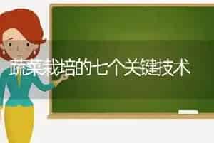 蔬菜栽培的七个关键技术