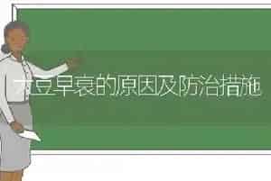大豆早衰的原因及防治措施