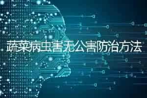 蔬菜病虫害无公害防治方法