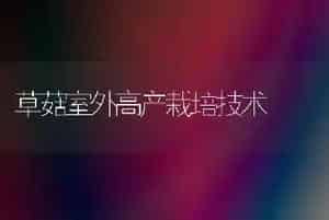 草菇室外高产栽培技术