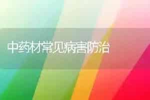 中药材常见病害防治