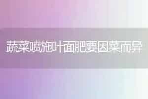 蔬菜喷施叶面肥要因菜而异