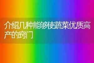 介绍几种能够使蔬菜优质高产的窍门
